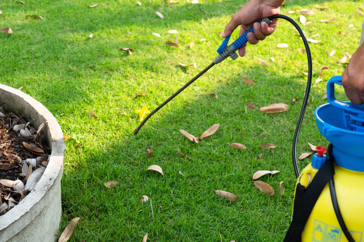 Herbisida: Pengertian, Jenis, dan Penggunaan