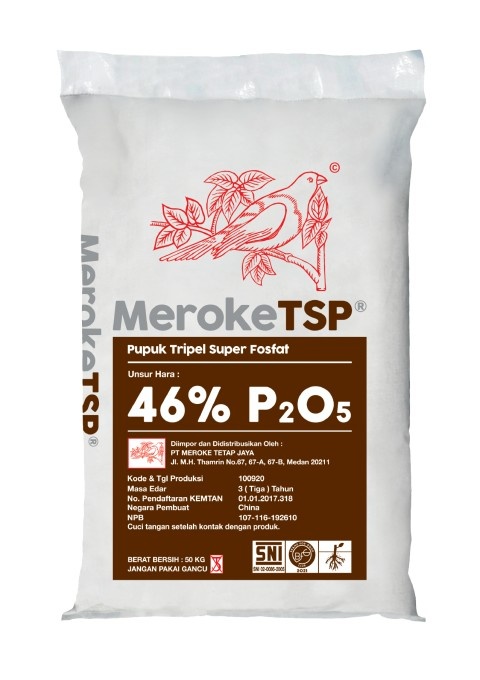 MEROKE TSP