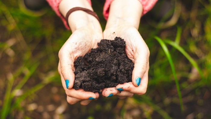 Pupuk Organik: Pengertian, Jenis, dan Manfaat